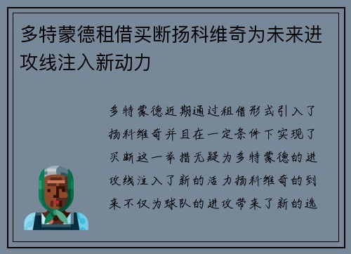 多特蒙德租借买断扬科维奇为未来进攻线注入新动力 多特蒙德租借买断扬科维奇为未来进攻线注入新动力