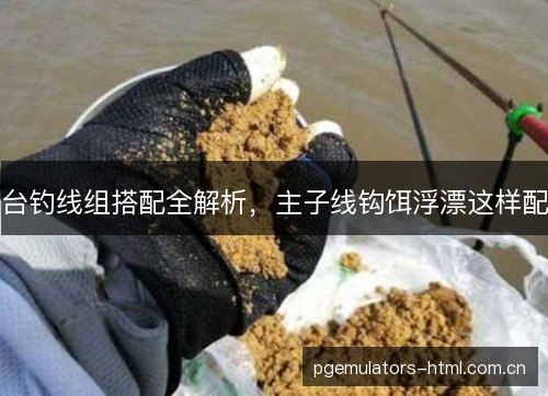 台钓线组搭配全解析,主子线钩饵浮漂这样配 台钓线组搭配全解析,主子线钩饵浮漂这样配
