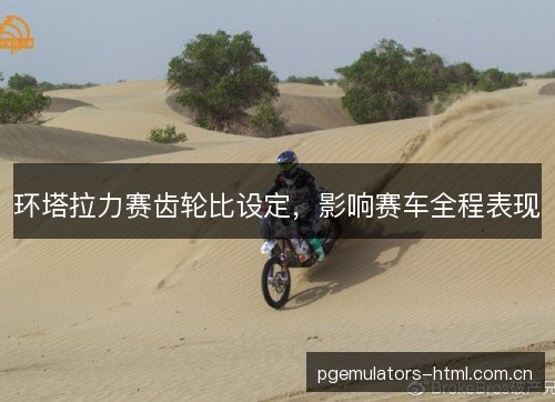 环塔拉力赛齿轮比设定,影响赛车全程表现 环塔拉力赛齿轮比设定,影响赛车全程表现