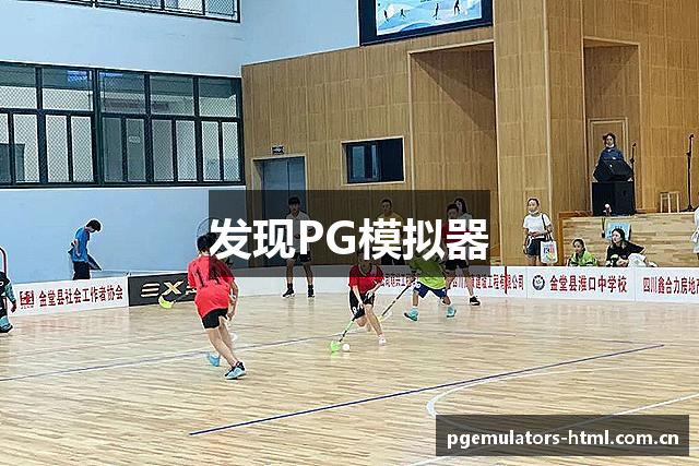 发现PG模拟器